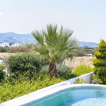 Argana Naxos Private With Pool And Garden 別荘
